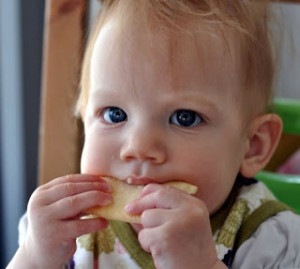 Baby-lead-weaning