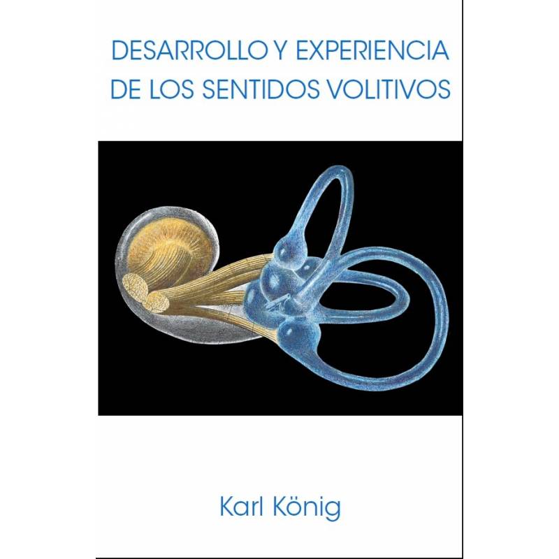 Desarrollo y Experiencia de los Sentidos Volitivos. Sentido del tacto. Sentido vital. Sentido cinético. Sentido del equilibrio.